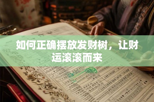 如何正确摆放发财树，让财运滚滚而来