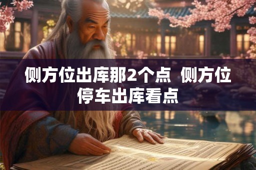 侧方位出库那2个点  侧方位停车出库看点