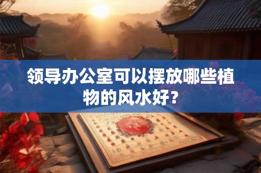 领导办公室可以摆放哪些植物的风水好？