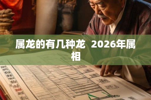 属龙的有几种龙  2026年属相
