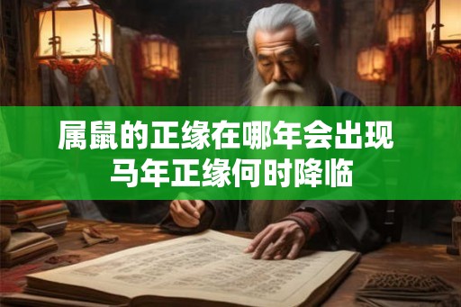 属鼠的正缘在哪年会出现 马年正缘何时降临