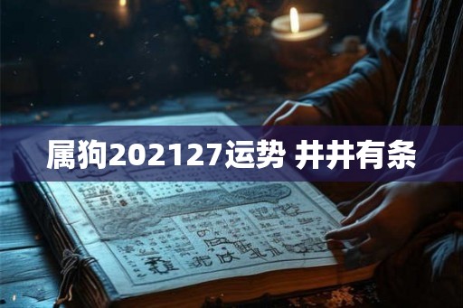 属狗202127运势 井井有条