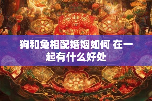 狗和兔相配婚姻如何 在一起有什么好处