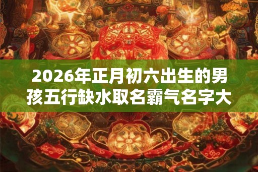2026年正月初六出生的男孩五行缺水取名霸气名字大全