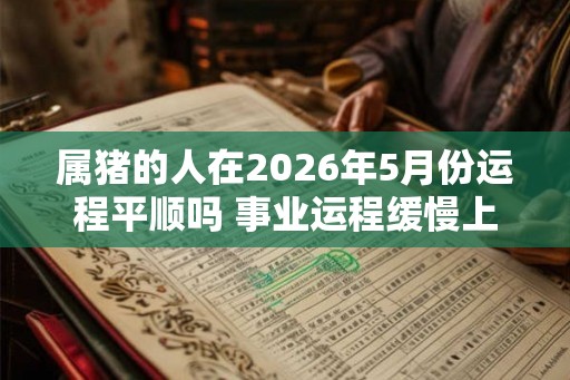 属猪的人在2026年5月份运程平顺吗 事业运程缓慢上升