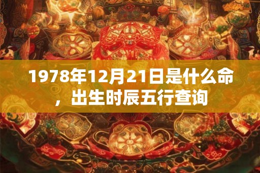 1978年12月21日是什么命，出生时辰五行查询