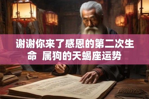 谢谢你来了感恩的第二次生命  属狗的天蝎座运势