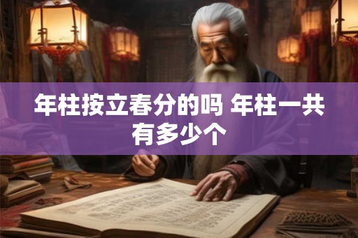 年柱按立春分的吗 年柱一共有多少个