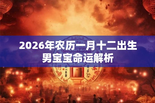 2026年农历一月十二出生男宝宝命运解析