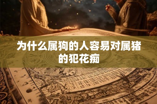 为什么属狗的人容易对属猪的犯花痴