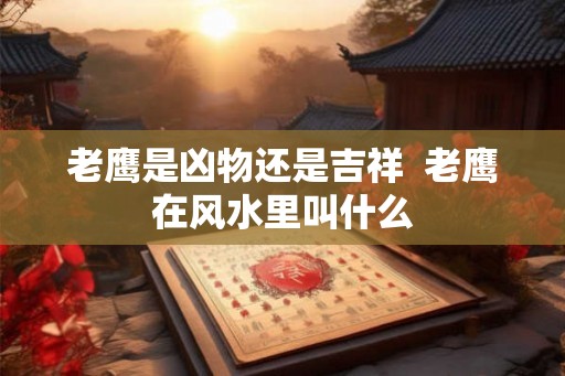 老鹰是凶物还是吉祥  老鹰在风水里叫什么