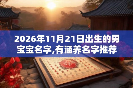 2026年11月21日出生的男宝宝名字,有涵养名字推荐