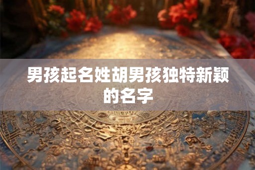 男孩起名姓胡男孩独特新颖的名字