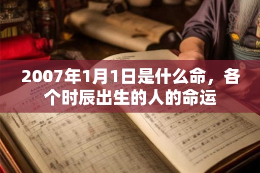 2007年1月1日是什么命，各个时辰出生的人的命运