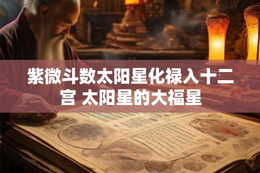 紫微斗数太阳星化禄入十二宫 太阳星的大福星 紫微斗数太阳星化禄入十二宫 太阳星的大福星