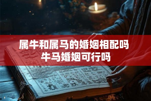 属牛和属马的婚姻相配吗 牛马婚姻可行吗