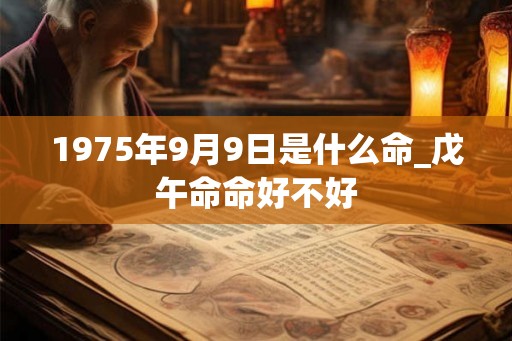 1975年9月9日是什么命_戊午命命好不好