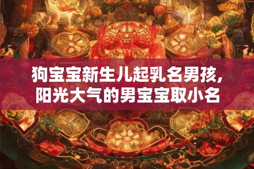 狗宝宝新生儿起乳名男孩,阳光大气的男宝宝取小名