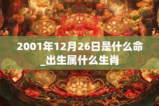 2001年12月26日是什么命_出生属什么生肖
