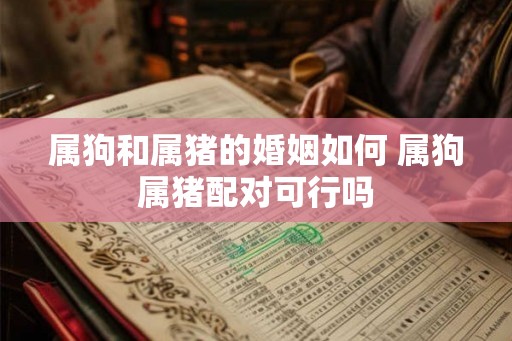 属狗和属猪的婚姻如何 属狗属猪配对可行吗 属狗和属猪的婚姻如何 属狗属猪配对可行吗