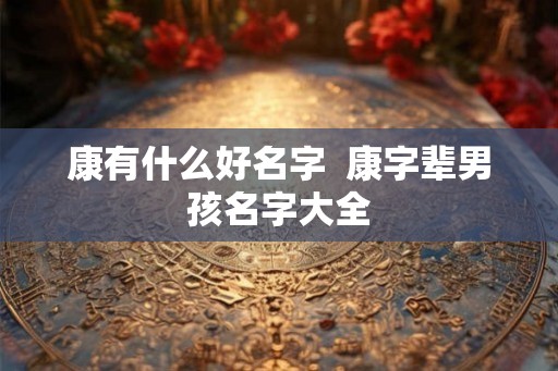 康有什么好名字 康字辈男孩名字大全 康有什么好名字 康字辈男孩名字大全