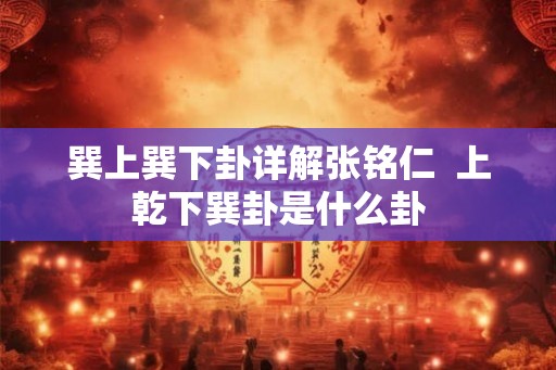 巽上巽下卦详解张铭仁  上乾下巽卦是什么卦
