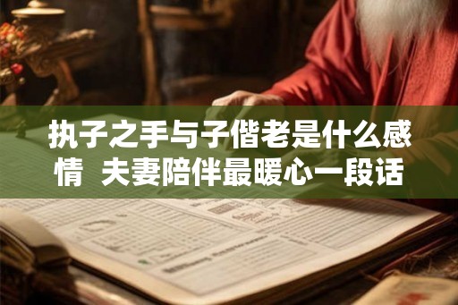 执子之手与子偕老是什么感情  夫妻陪伴最暖心一段话