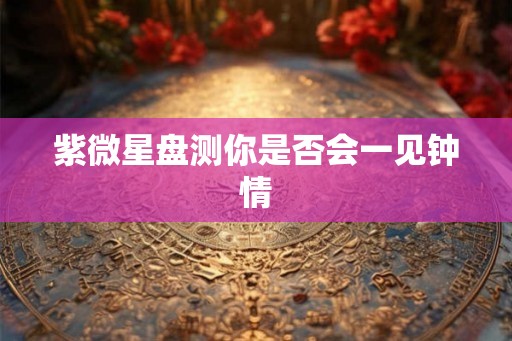 紫微星盘测你是否会一见钟情