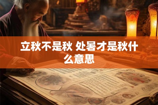 立秋不是秋 处暑才是秋什么意思