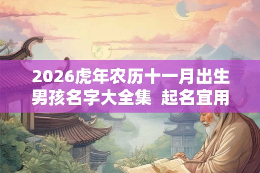 2026虎年农历十一月出生男孩名字大全集  起名宜用字