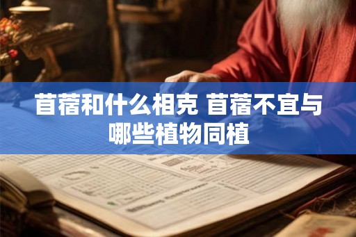 苜蓿和什么相克 苜蓿不宜与哪些植物同植