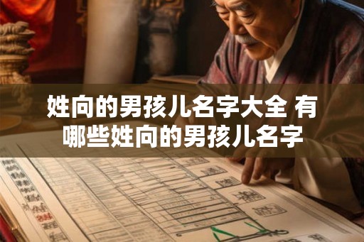 姓向的男孩儿名字大全 有哪些姓向的男孩儿名字 姓向的男孩儿名字大全 有哪些姓向的男孩儿名字