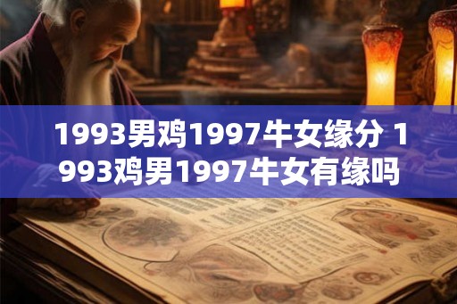 1993男鸡1997牛女缘分 1993鸡男1997牛女有缘吗