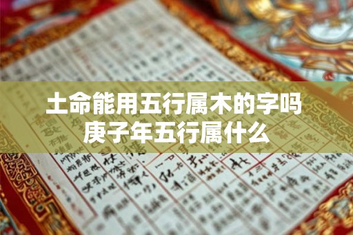 土命能用五行属木的字吗 庚子年五行属什么