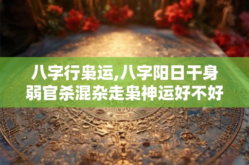 八字行枭运,八字阳日干身弱官杀混杂走枭神运好不好？
