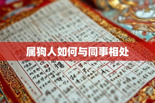 属狗人如何与同事相处