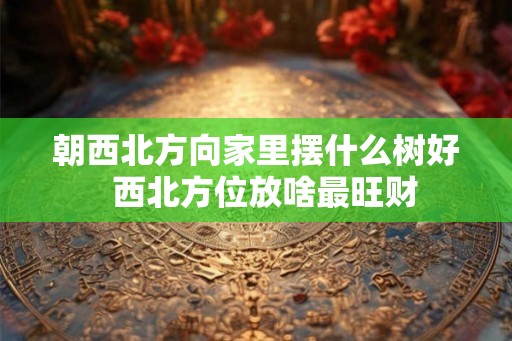 朝西北方向家里摆什么树好  西北方位放啥最旺财