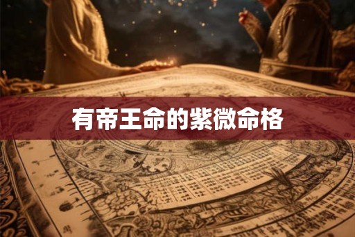 有帝王命的紫微命格 有帝王命的紫微命格