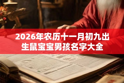 2026年农历十一月初九出生鼠宝宝男孩名字大全