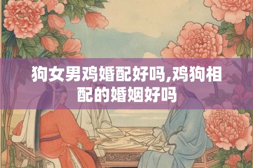 狗女男鸡婚配好吗,鸡狗相配的婚姻好吗