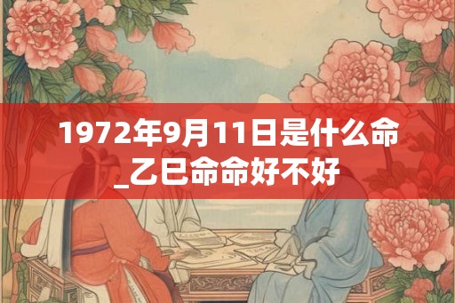1972年9月11日是什么命_乙巳命命好不好