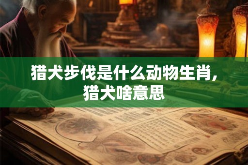 猎犬步伐是什么动物生肖,猎犬啥意思