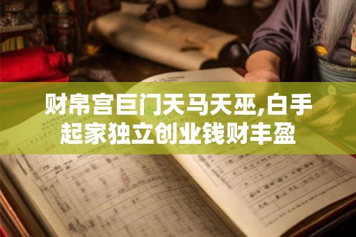 财帛宫巨门天马天巫,白手起家独立创业钱财丰盈