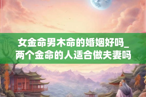 女金命男木命的婚姻好吗_两个金命的人适合做夫妻吗