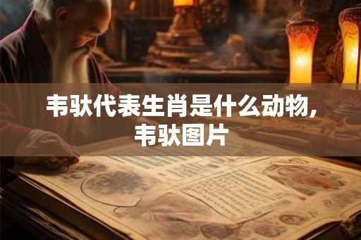 韦驮代表生肖是什么动物,韦驮图片