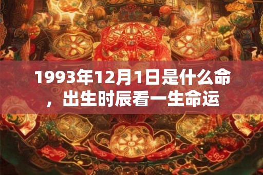 1993年12月1日是什么命，出生时辰看一生命运