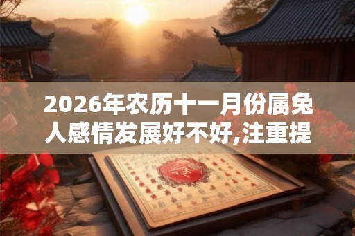 2026年农历十一月份属兔人感情发展好不好,注重提升自己