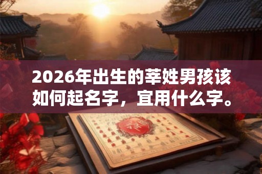 2026年出生的莘姓男孩该如何起名字，宜用什么字。