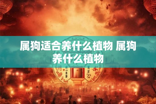 属狗适合养什么植物 属狗养什么植物