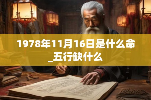 1978年11月16日是什么命_五行缺什么